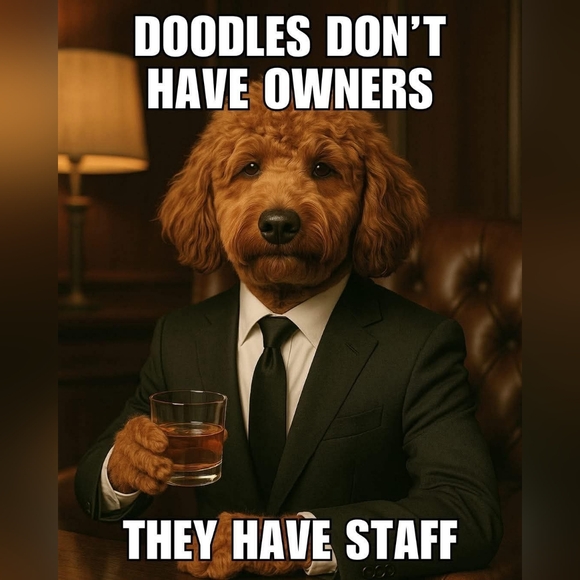 I Consider Offers🌻 - Picture 6 of 14